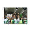 ISSUE 06 - Image 6